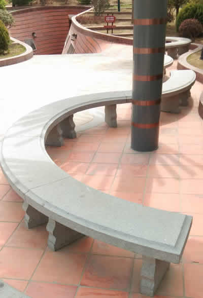 γ